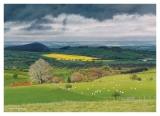 welsh landscape