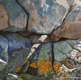 welsh landscape