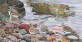 welsh landscape