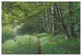welsh landscape