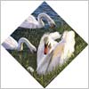 pembrokeshire artists