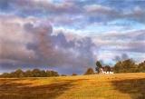 graham brace