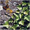 pembrokeshire artist