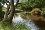 welsh landscapes