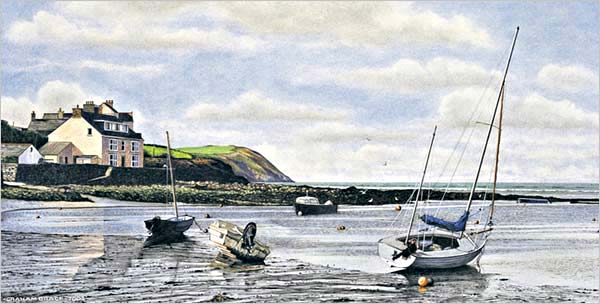the parrog newport pembrokeshire